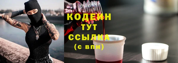 spice Корсаков
