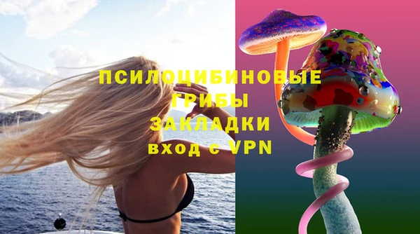 spice Корсаков
