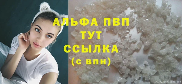 spice Корсаков